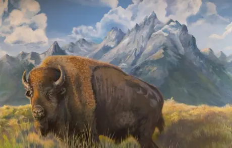 a landscape painting of a North American bison with a background similar to the Grand Tetons