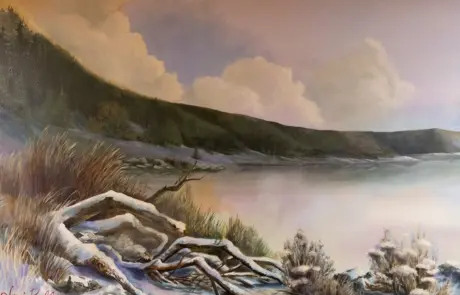 a lakeside landscape with driftwood along the shore