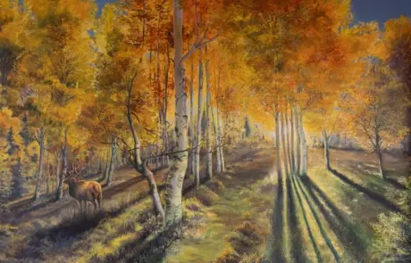 A forest of aspen trees with orange and yellow leaves