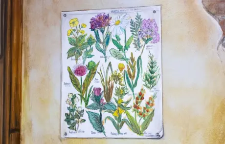 Painting of local flowers